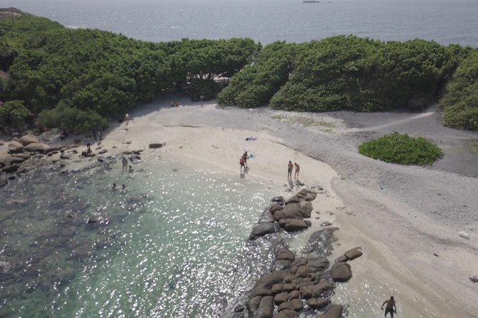 Snorkeling at Pigeon Island - Pigeon Island National Park: what you can expect to see