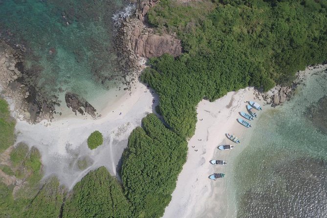Snorkeling at Pigeon Island - Who this snorkeling trip is best for (and who should skip it)
