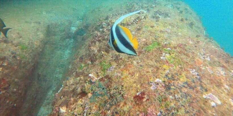 Snorkeling in Hikkaduwa - Small Groups (8 Max) and Personal Instructor Attention