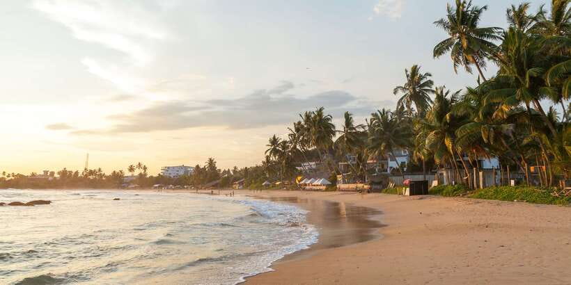 Snorkeling in Hikkaduwa - Price and Value: Is $39 for 1 Hour a Fair Deal?
