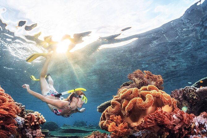 Snorkeling in Trincomalee - Key highlights you’ll care about