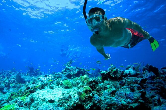 Snorkeling in Trincomalee - The small-group advantage: how it changes the snorkeling experience