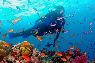 Snorkeling in Trincomalee - Price and what you actually get for $57