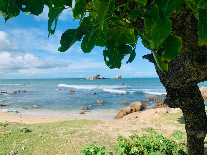 Snorkeling in Trincomalee - Languages and communication: English and Sinhalese help you stay confident