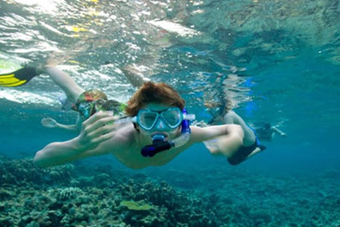 Snorkeling in Unawatuna - Unawatuna Beach stop: where you’re likely to see coral gardens