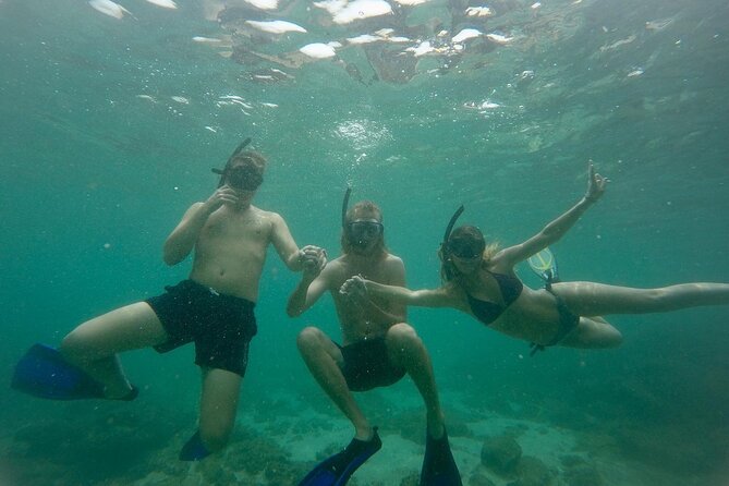 Snorkeling On Beautiful Rock Island - Unawatuna by Boat - Key highlights you’ll actually care about