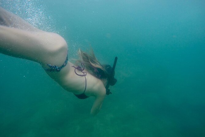 Snorkeling On Beautiful Rock Island - Unawatuna by Boat - Rock Island snorkeling: what to look for and how to improve your odds