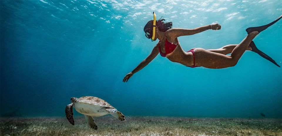 Snorkeling Trip from Polhena Beach, Matara, Sri Lanka - Should you book this Polhena snorkeling trip?