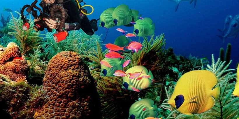 Snorkeling Trip from Polhena Beach, Matara, Sri Lanka - Polhena Beach in Matara: the short hop that starts the whole experience