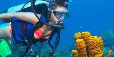 Snorkeling Trip from Polhena Beach, Matara, Sri Lanka - Small group snorkeling with English support (and why that matters)