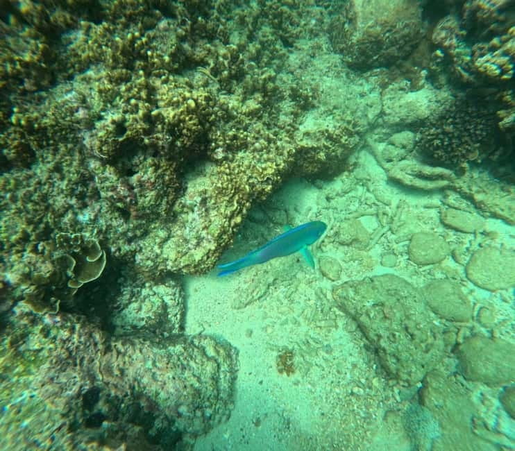 Snorkeling Trip To Angel Rock - Key Things You’ll Notice Before You Go