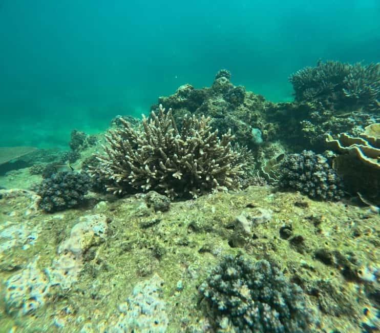 Snorkeling Trip To Angel Rock - Getting To Angel Rock: Nilaveli Speedboat Logistics That Matter