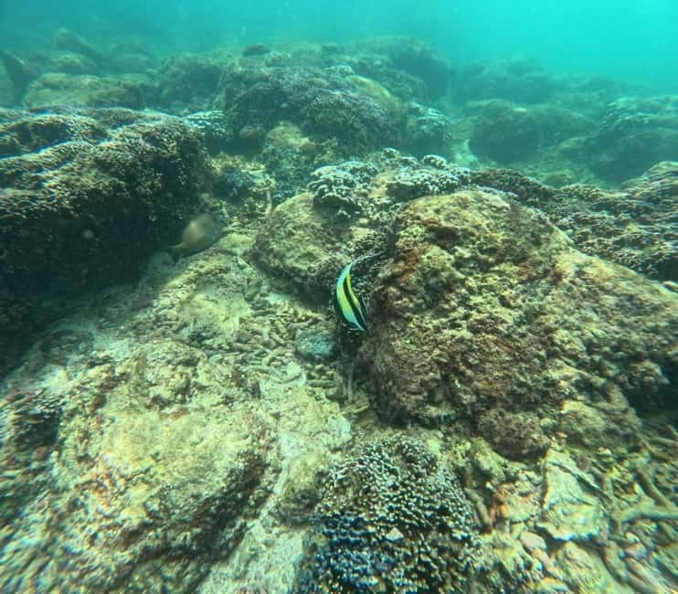 Snorkeling Trip To Angel Rock - Itinerary Breakdown: Timed Stops and Realistic Expectations