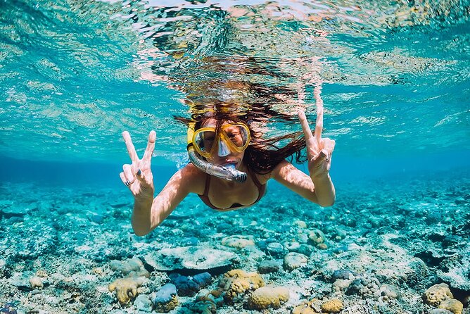 Snorkeling Trip to Pigeon Island - Snorkeling setup: gear, comfort, and how to spot more fish