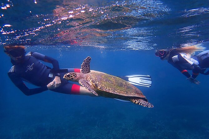 Snorkeling Trip to Pigeon Island - Small group comfort: why max 7 people matters underwater