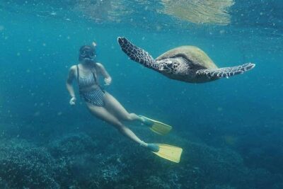 Snorkeling with Turtles in Mirissa - Parrot Rock: The Snorkel Stop That Sets Up Turtle Time