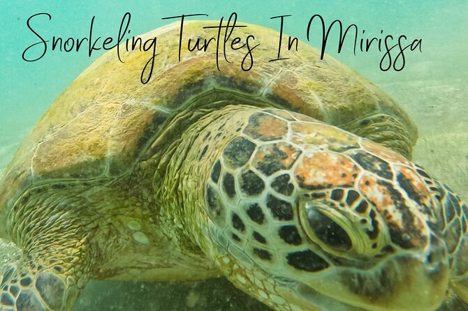 Snorkeling with Turtles in Mirissa - Rough Seas, Murky Water, and the Waiting Game