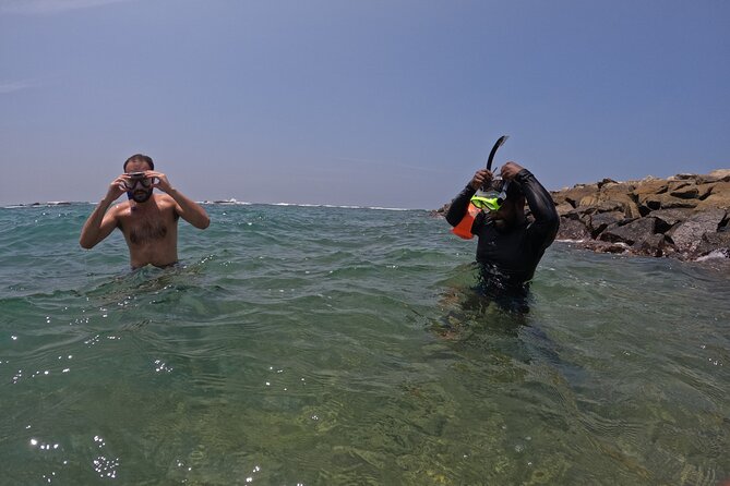 Snorkeling with Turtles in Mirissa - Value Check: Is $25 Good Value Here?