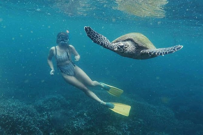 Snorkeling with Turtles in Mirissa - Parrot Rock: The Snorkel Stop That Sets Up Turtle Time