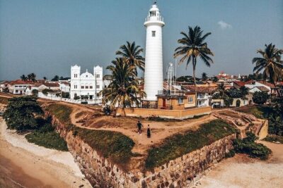 South Coast Highlights Tour from Colombo - Stop 1: Handunugoda Tea Estate and Virgin White Tea