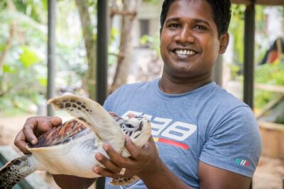 Southern Sri Lanka Sightseeing Day Trip From Colombo & Negombo - Madu Ganga Mangrove Safari: Wildlife, Boat Ride Vibes, and Fish Foot Massage