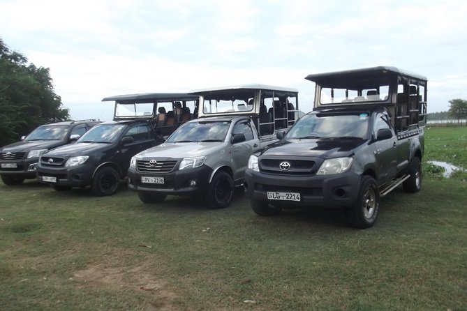 Special leopards safari Yala National park - 04.30 am to 11.30 am - The “special leopard” plan in plain words