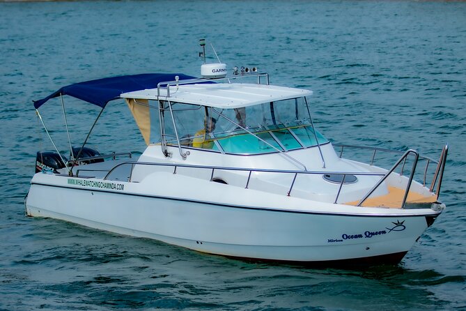 Sports Boat- Private Whale Watching Trip( free breakfast & paid pick-up) - Key things to know before you go