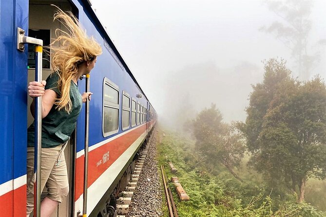 Sri Lanka 11 Nights -12 Days Luxury Guided Tour by Mini-Coach - Nuwara Eliya and Ella: Waterfalls, Tea Processing, Train Tracks, and Nine Arches
