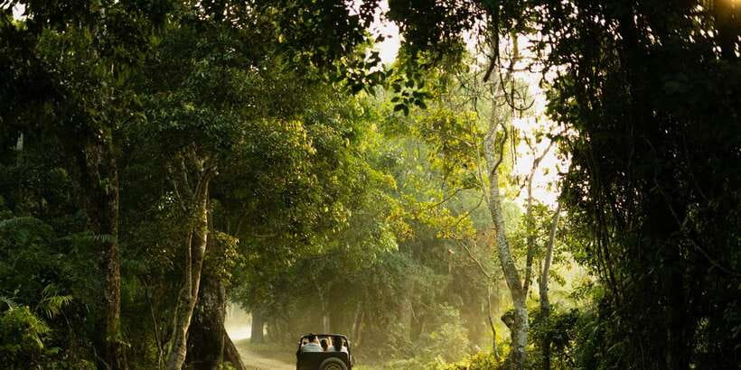 Sri Lanka: 2-Day wildlife tour; rainforest and National park - Who this tour fits best (and who should reconsider)
