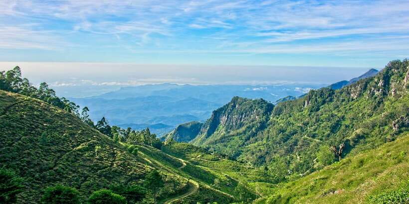 Sri Lanka: 2-Day wildlife tour; rainforest and National park - The Ella to Nuwara Eliya blue train ride: why this part feels different