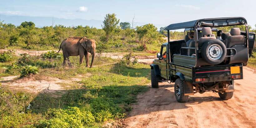 Sri Lanka: 2-Day wildlife tour; rainforest and National park - Nuwara Eliya tea trail: gardens, factory visit, and Gregory Lake