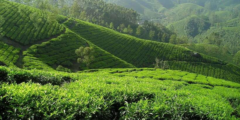 Sri Lanka: 2-Day wildlife tour; rainforest and National park - Hotel basics in the middle of the action