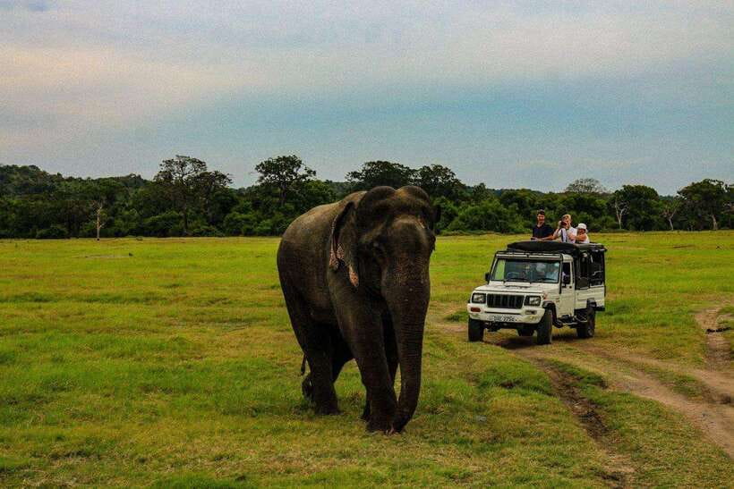 Sri Lanka: 3N4Day guided FULL TOUR with hotel accommodations - Day 1: Dambulla Cave Temple and Sigiriya Rock Fortress