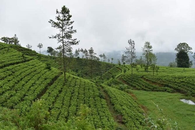 Sri Lanka 4 Day Private Tour - Price and value: what you’re really paying for