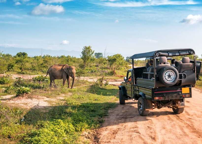 Sri Lanka: 4-Day Private Tour Focusing on Cultural Triangle - What to bring: temple-ready clothes for Sigiriya and cave days