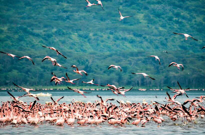 Sri Lanka 5-Day Private Country Side Tour Car, Hotels, Food - Price and the real cost picture: what adds up