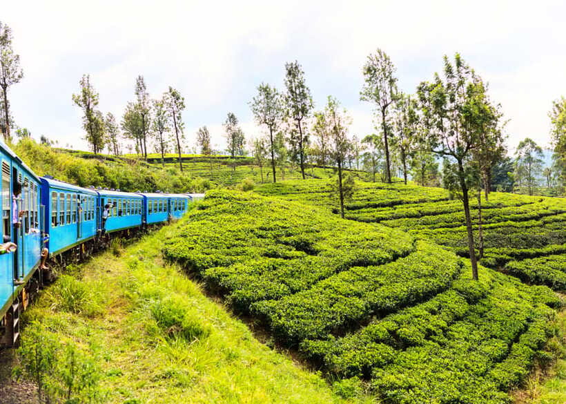 Sri Lanka 5-Day Private Country Side Tour Car, Hotels, Food - The value of doing Sri Lanka this way: private car, classic stops, and real pacing