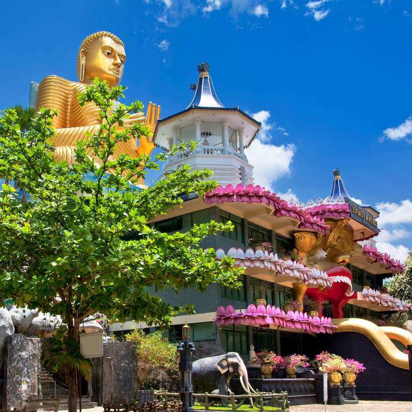 Sri Lanka: 5 Days Multi City Sightseeing Tour - Guides and hotels: where the experience gets its personality