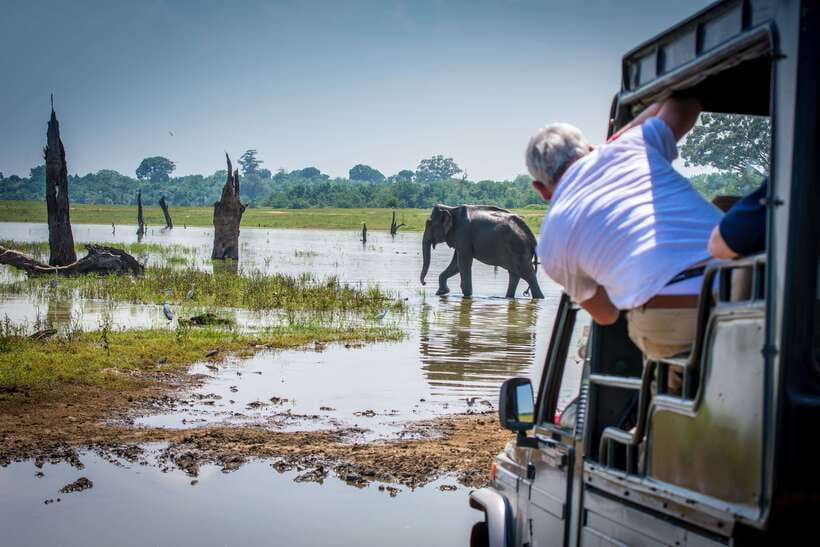 Sri Lanka: 5 Days Multi City Sightseeing Tour - Day 1: Colombo airport pickup and your first Sri Lanka night