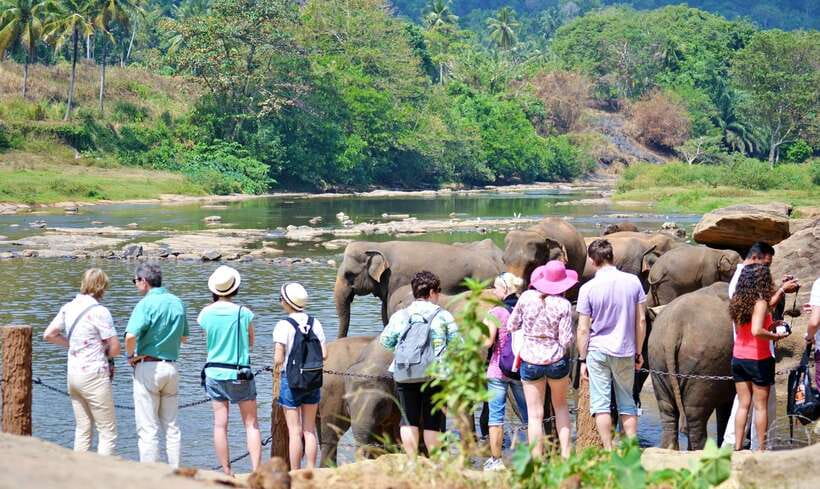 Sri Lanka: 7-Day Off-The-Beaten Path Private Tour - Tea-country day: waterfalls, a tea factory visit, and the scenic train ride