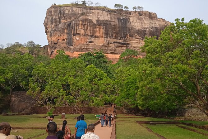Sri Lanka 8 days Tours with Privet Vehicle & Accommodations (B/B) - Minneriya National Park Safari: Elephants and Birding Country