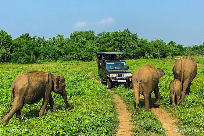 Sri Lanka 8 days Tours with Privet Vehicle & Accommodations (B/B) - Temple of the Sacred Tooth Relic: Kandy’s Sacred Center