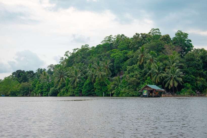 Sri Lanka Bentota: Private Mangrove Lagoon and River Cruise - The full 2-hour flow: from riverside hotels to the mangrove lagoon and back