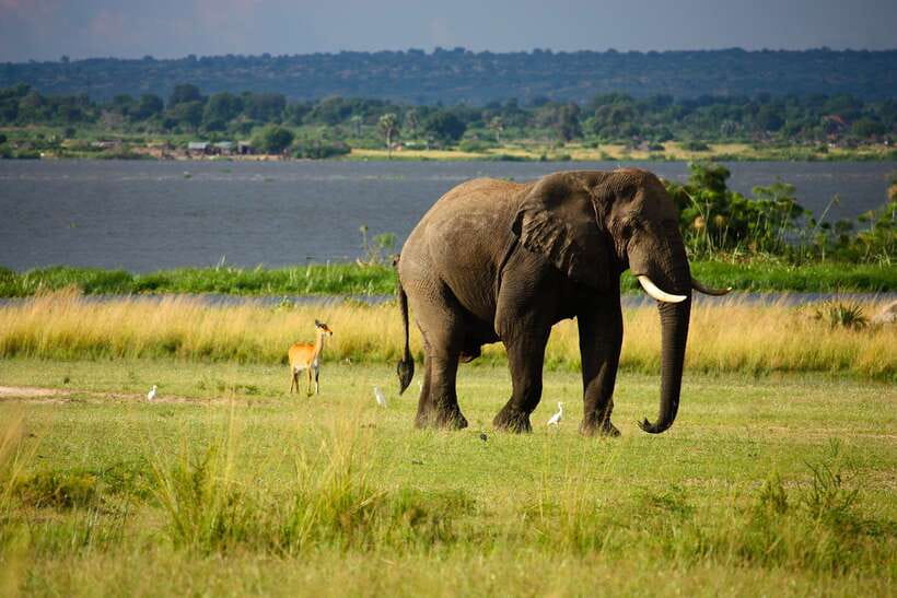 Sri Lanka Cultural Triangle Private 2-Day Tour+Wildlife Tour - Why This 2-Day Cultural Triangle Route Feels Like a Sprint