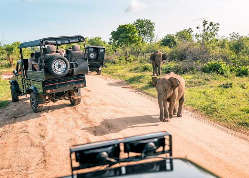 Sri Lanka Cultural Triangle Private 2-Day Tour+Wildlife Tour - Minneriya National Park Jeep Safari: Elephants, Not a Guessing Game