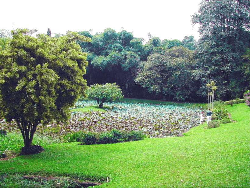 Sri Lanka Cultural Triangle Private 2-Day Tour+Wildlife Tour - Matale Spice/Herbal Garden and the Hands-On Part of Sri Lanka