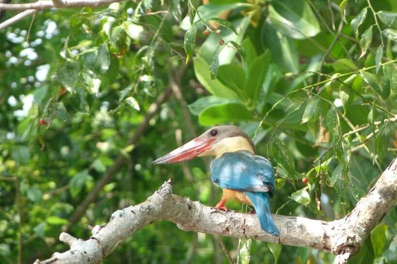 Sri Lanka Green Bless- 2-day Private Trip To Enjoy Nature - Key highlights at a glance