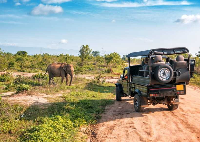 Sri Lanka Green Bless- 2-day Private Trip To Enjoy Nature - Driving comfort and guide quality: what small-group travel really changes
