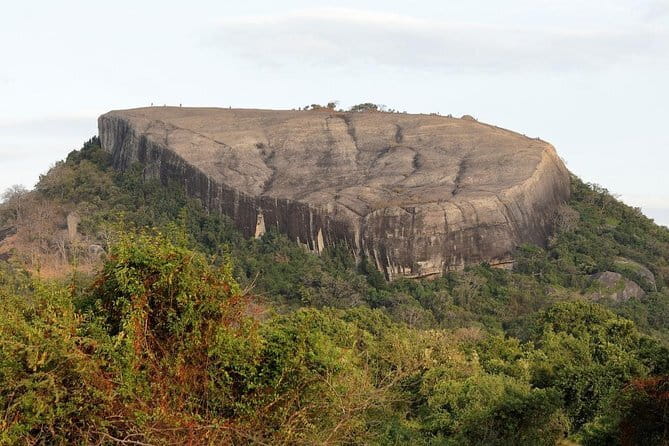 Sri Lanka highlights 5N | 6D - Dambulla cave temple and a spice garden: religion plus art in one stop