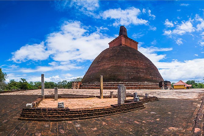 Sri Lanka Multi Day Car Hire with English Speaking Driver-Guide - Day 8 departure: you finish with airport transport instead of uncertainty